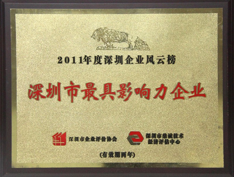 The most influential enterprise in Shenzhen